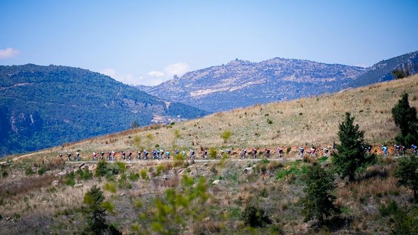 De Bruce Lee à Jet Li : Les grands maîtres des arts martiaux