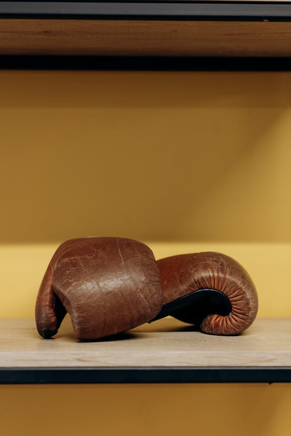 Les gants de boxe hayabusa t3 : alliés des champions sur le ring